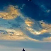 はち