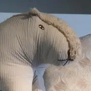 Ykkの画像