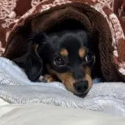 みき