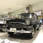 シェビーの画像