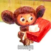 coconya ❁*.プロフ見てね❁*.