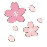 NEW SEAの画像