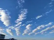 がりの画像