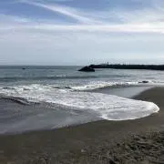がこうの画像