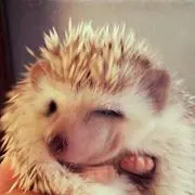 もえ