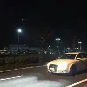 カラス