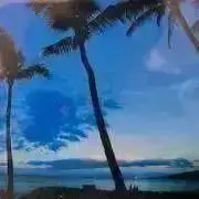 ☆ユニバーサルモール☆の画像