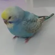 愛