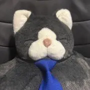 Tatchiの画像