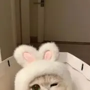 ☺︎の画像