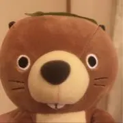 たぬこ