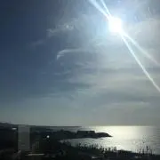 くまの画像