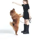 Kuma1982の画像