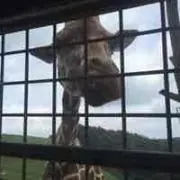 まさみ