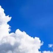 齋藤の画像