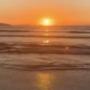 Sの画像