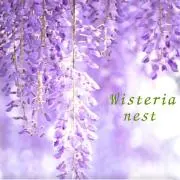 Wisteria nestの画像