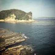 Ljungbergの画像