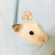 おもち