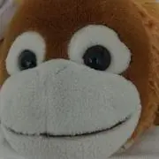 ☆しろたろう☆