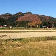 こっちー