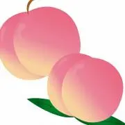 桃の紅茶☆断捨離中☆。.:＊・゜の画像