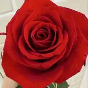 ☆断捨離中☆の画像