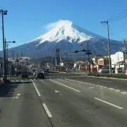 ゴゴの画像