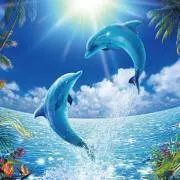 ♡dolphin♡断捨離中の画像