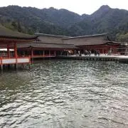 せんとの画像