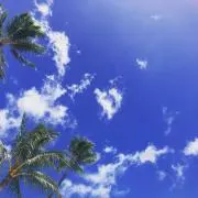 チャピの画像