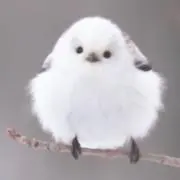 もも♡プロフ必読お願い致します♡の画像
