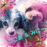 かおりんの画像