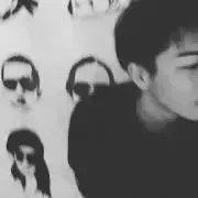 Shunの画像