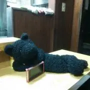 ☆PANDAショップ☆