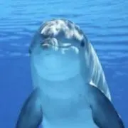Mの画像