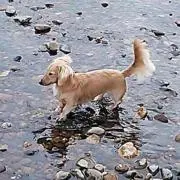 nariの画像