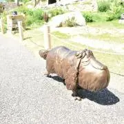 yuの画像