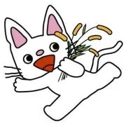 RAV..☆