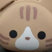 みーの画像