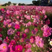 わいわい24の画像