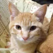 マロン^_^