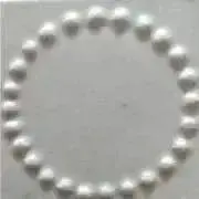 cosmosの画像