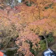 なつきの画像