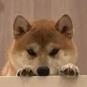 yuka