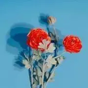 aka.の画像