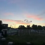 miiの画像