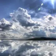 てんの画像