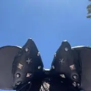 ちきの画像