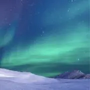 Fの画像